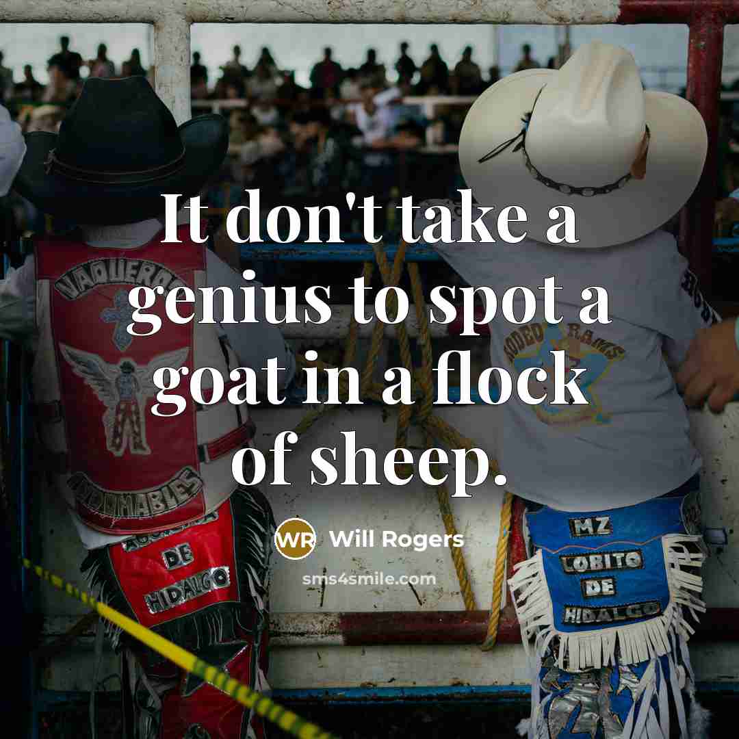 “It don't take a genius to spot a goat in…” quote by Will Rogers