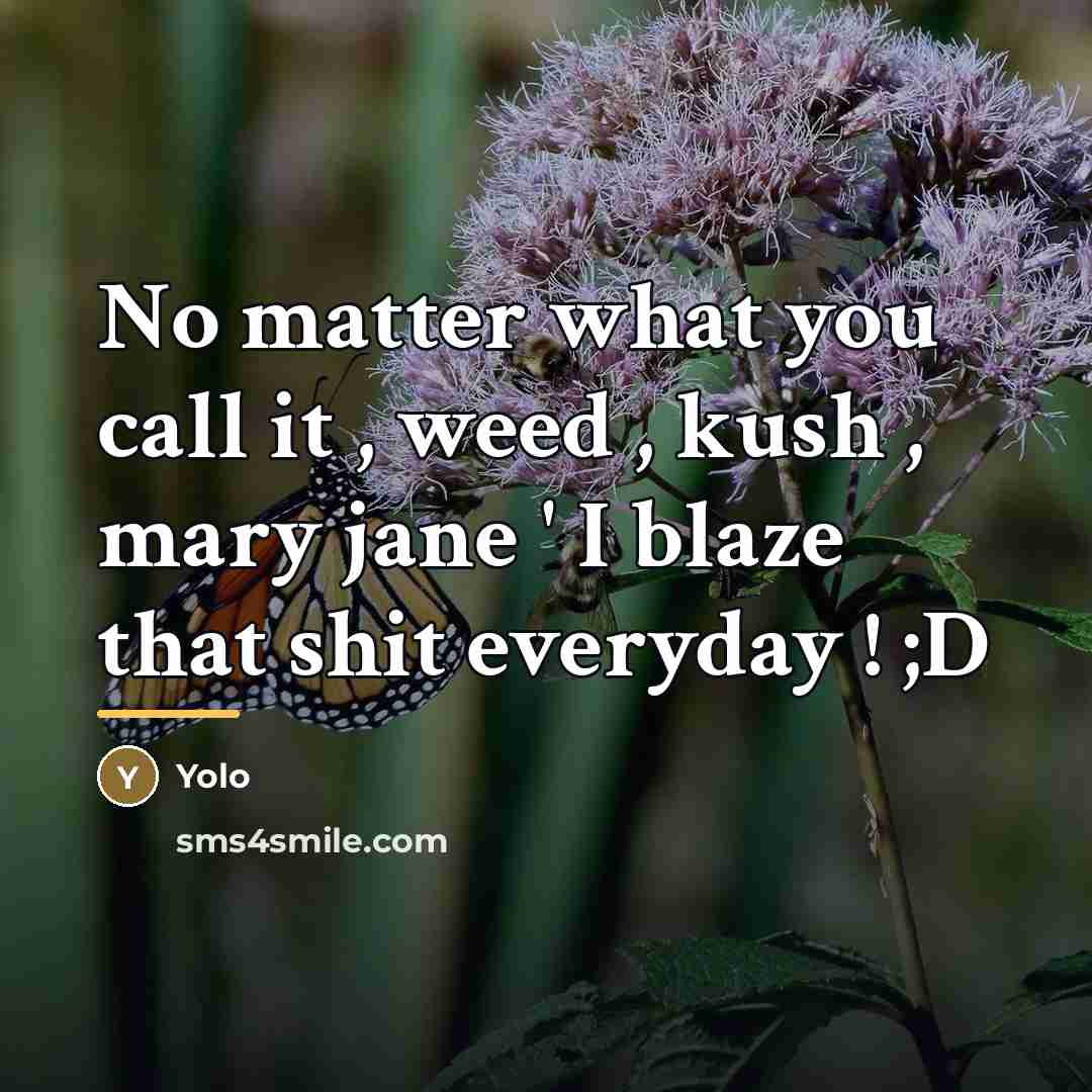 “No matter what you call it , weed , kush…” quote by Yolo