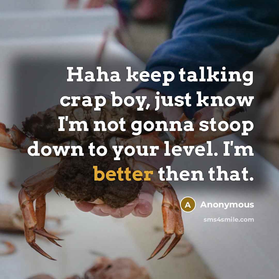 “Haha keep talking crap boy, just know I'm not gonna stoop down to your level. I'm better then that.” quote by Anonymous