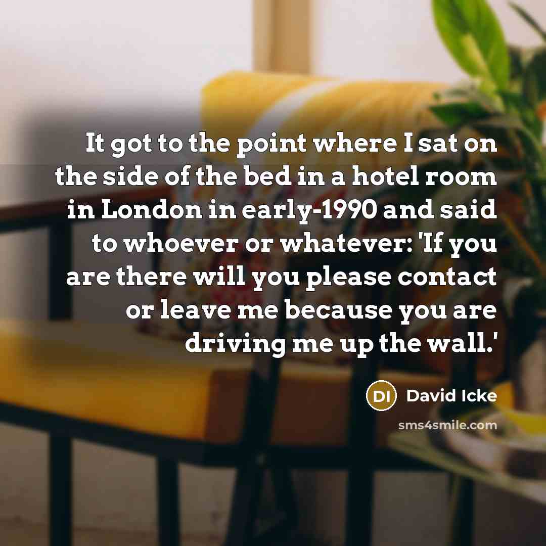 “It got to the point where I sat on the…” quote by David Icke