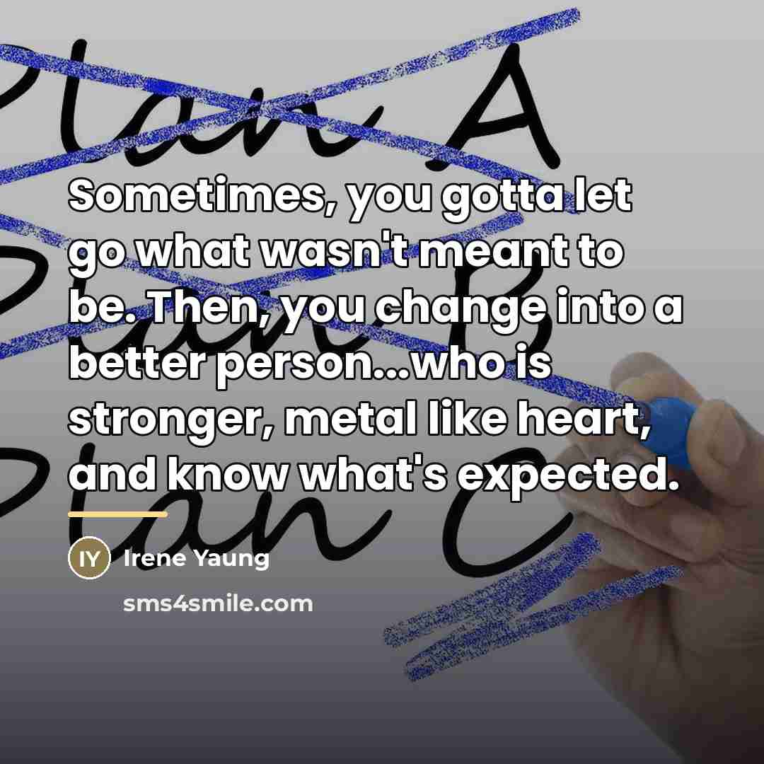 “Sometimes, you gotta let go what wasn't meant to be.…” quote by Irene Yaung