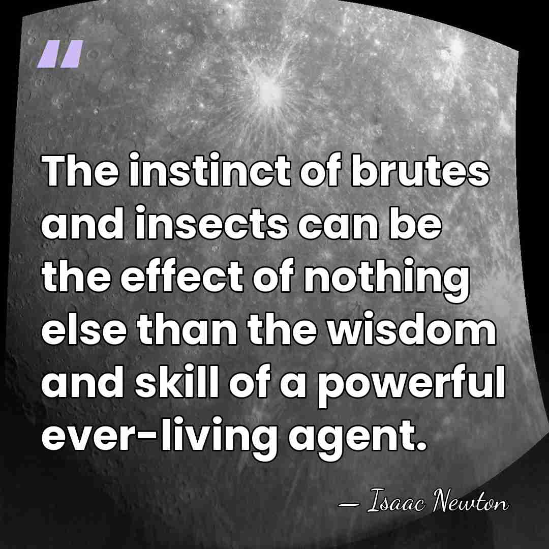 The instinct of brutes and insects can be the effect of nothing&hellip; - Isaac Newton