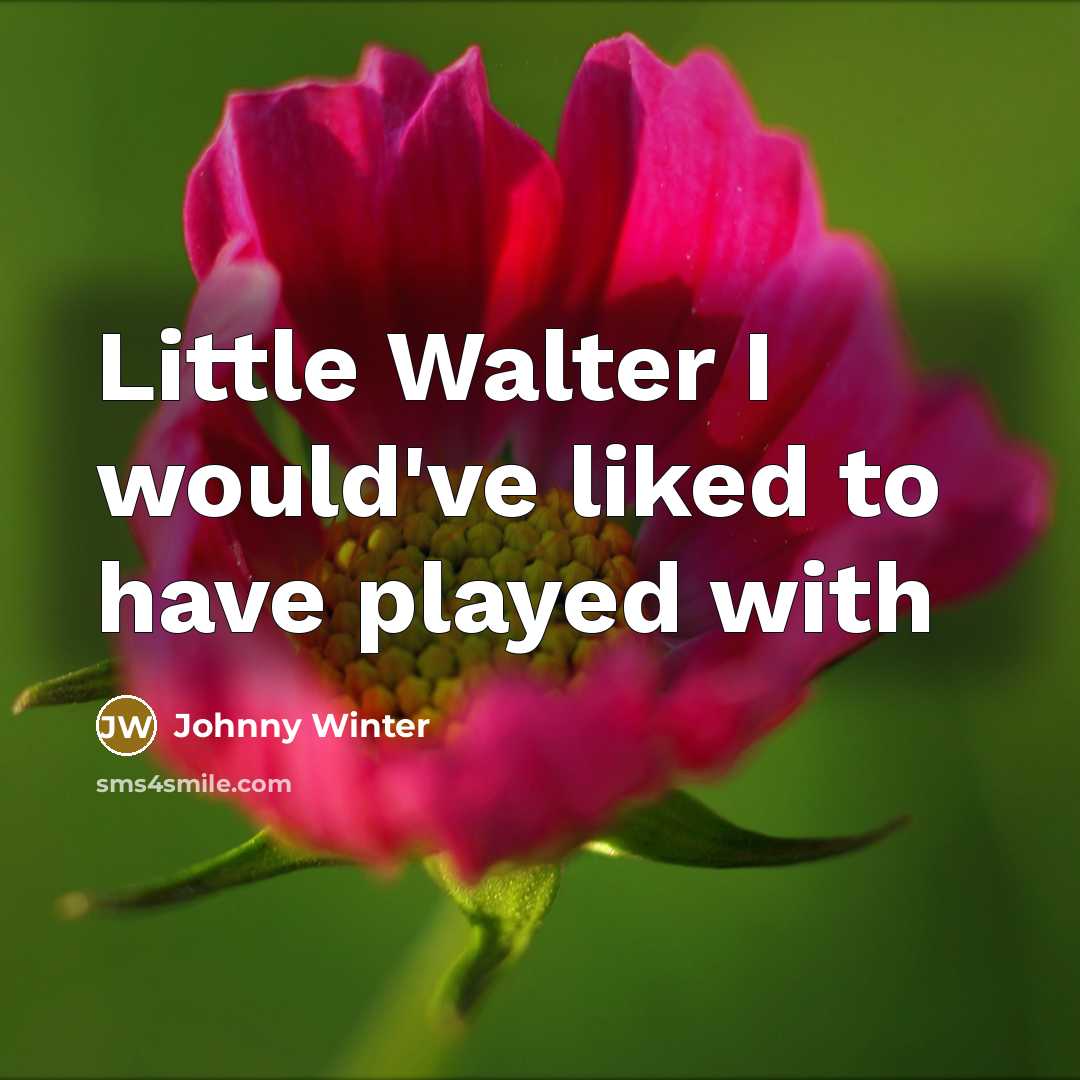 “Little Walter I would've liked to have played with…” quote by Johnny Winter