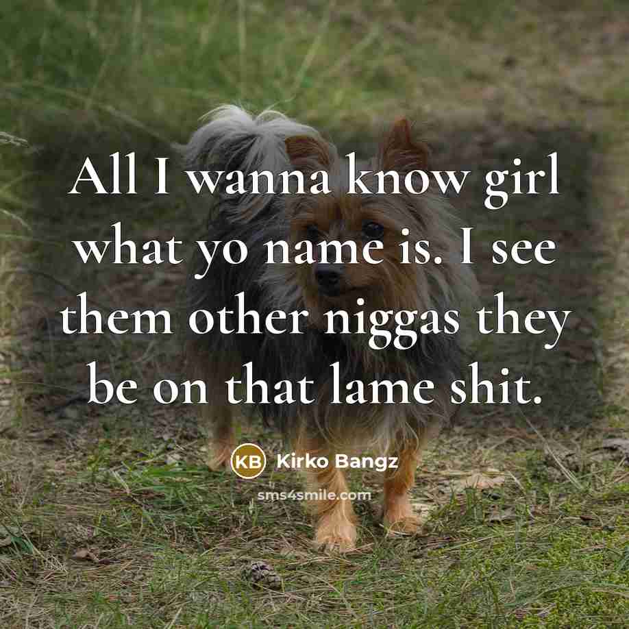 “All I wanna know girl what yo name is. I…” quote by Kirko Bangz