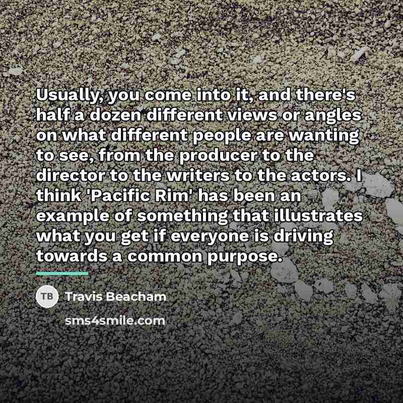 “Usually, you come into it, and there's half a dozen…” quote by Travis Beacham