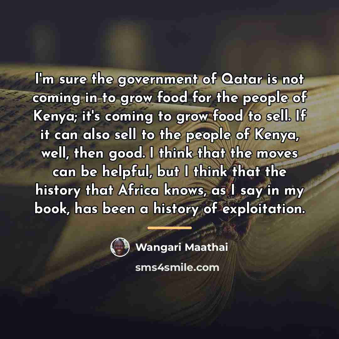 “I'm sure the government of Qatar is not coming in…” quote by Wangari Maathai