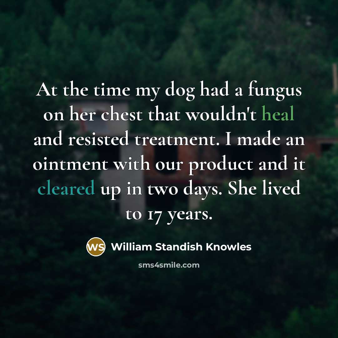 “At the time my dog had a fungus on her…” quote by William Standish Knowles