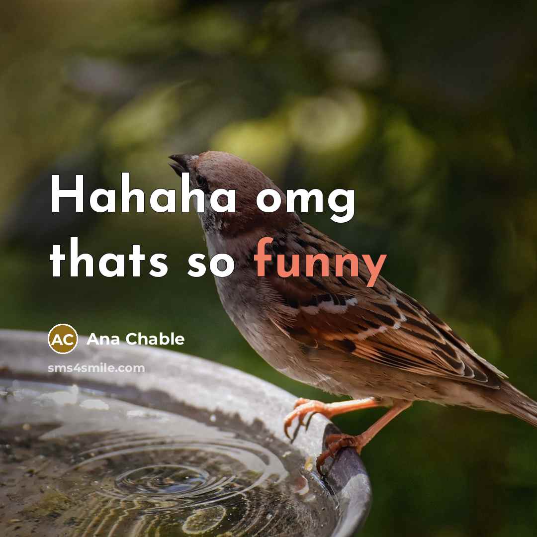 “Hahaha omg thats so funny…” quote by Ana Chable