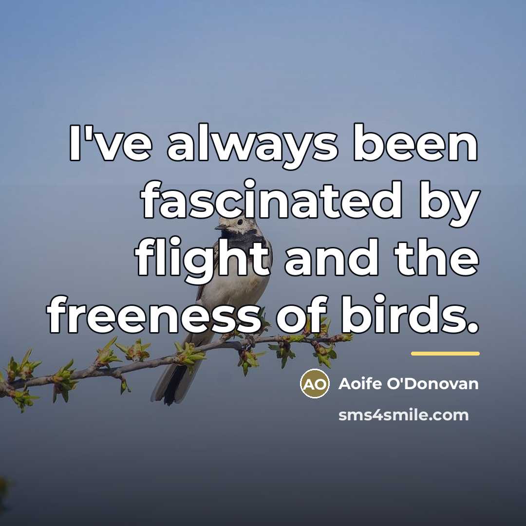 “I've always been fascinated by flight and the freeness of…” quote by Aoife O'Donovan
