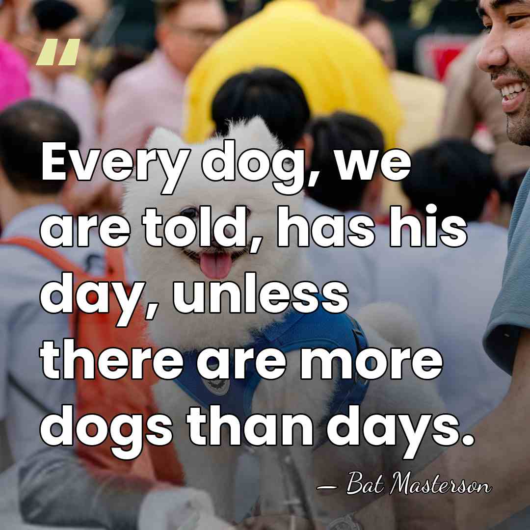 Every dog, we are told, has his day, unless there are more&hellip; - Bat Masterson