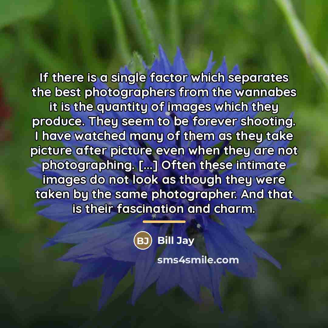 “If there is a single factor which separates the best…” quote by Bill Jay