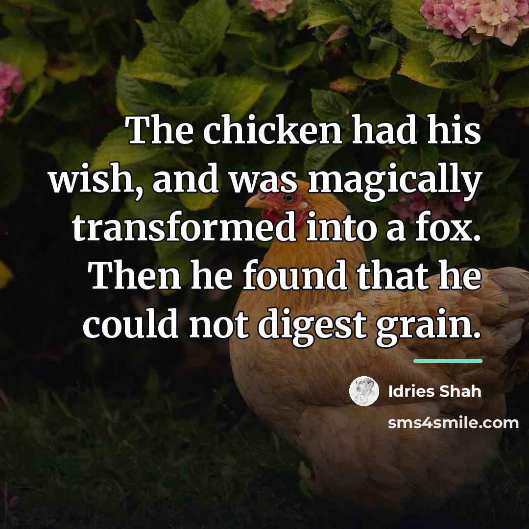 “The chicken had his wish, and was magically transformed into…” quote by Idries Shah