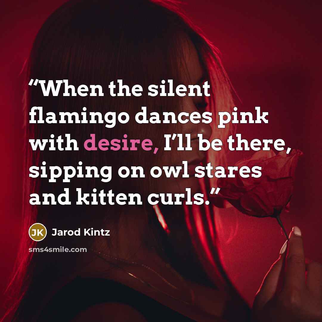“When the silent flamingo dances pink with desire, I’ll be there, sipping on owl stares and kitten curls.” quote by Jarod Kintz