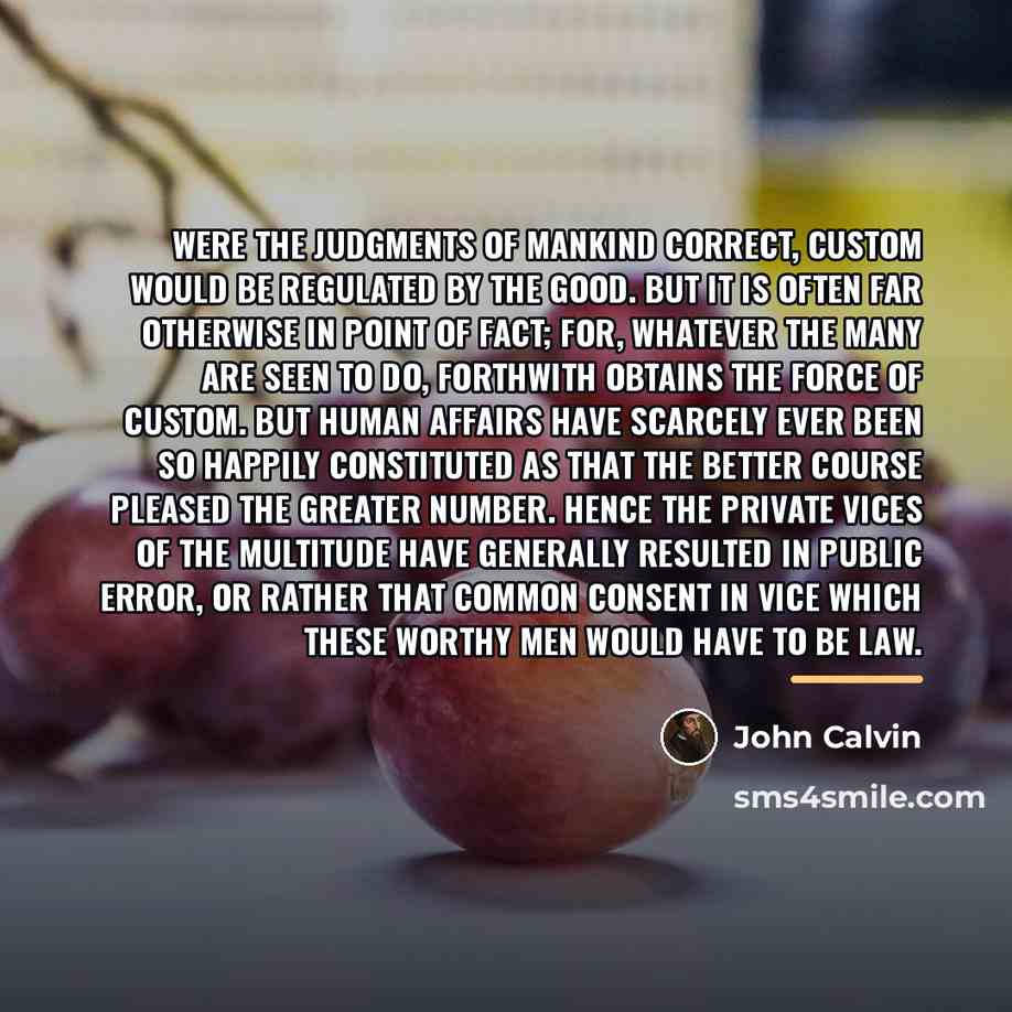 “Were the judgments of mankind correct, custom would be regulated…” quote by John Calvin