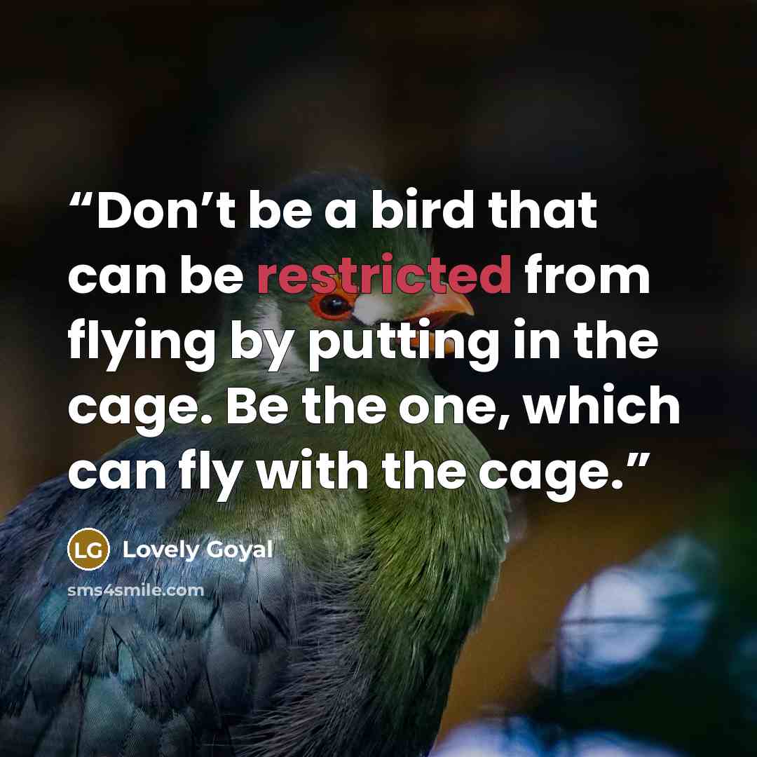 “Don’t be a bird that can be restricted from flying by putting in the cage. Be the one, which can fly with the cage.” quote by Lovely Goyal