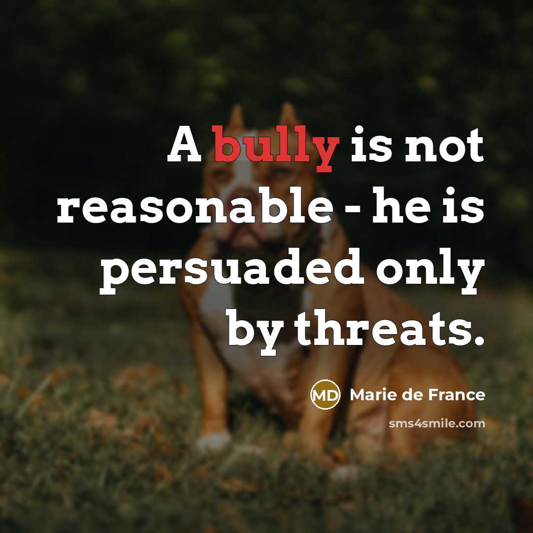 “A bully is not reasonable - he is persuaded only…” quote by Marie de France