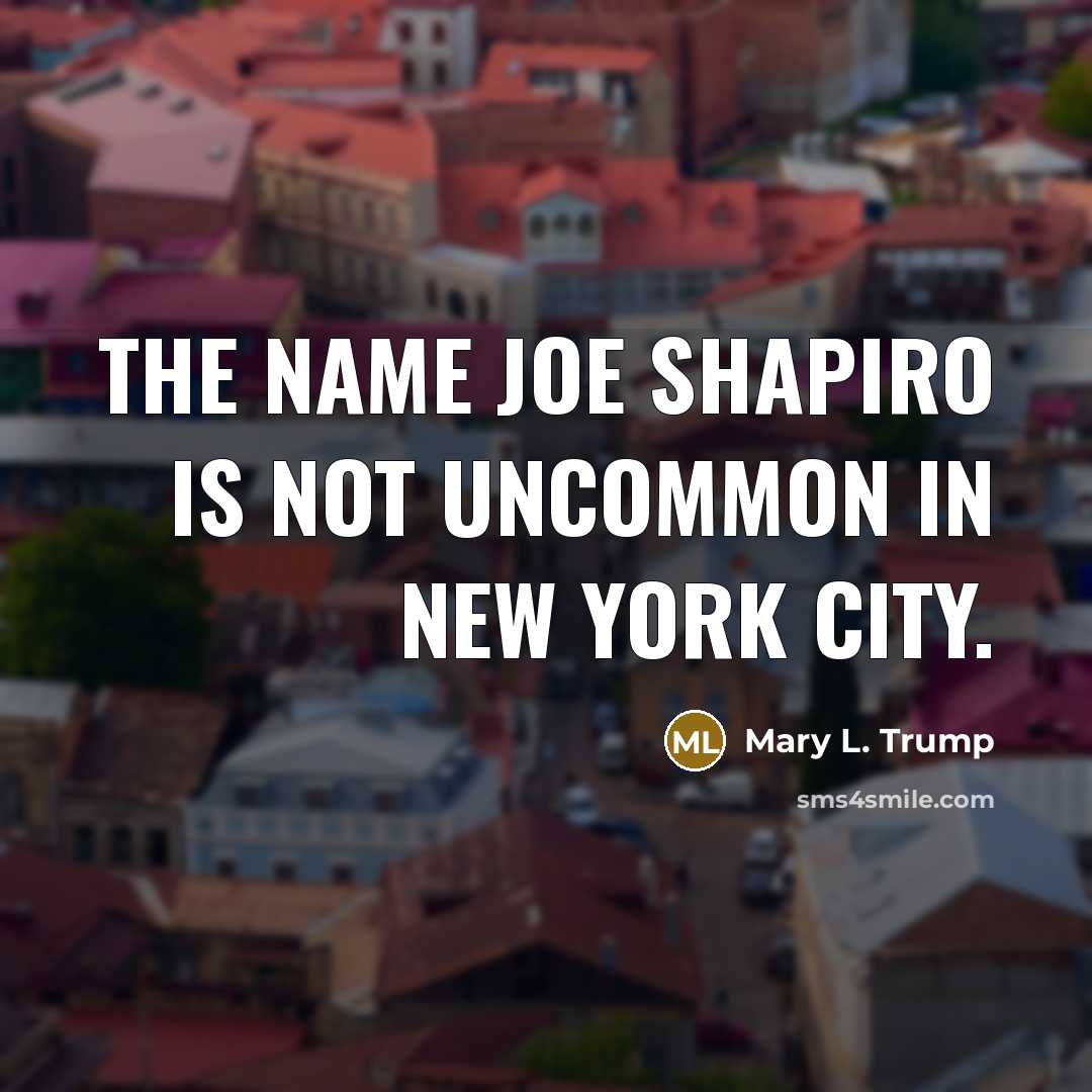 “The name Joe Shapiro is not uncommon in New York…” quote by Mary L. Trump