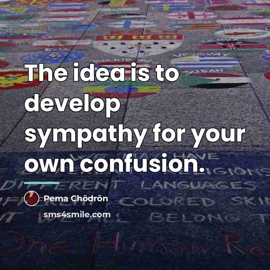 “The idea is to develop sympathy for your own confusion.…” quote by Pema Chodron