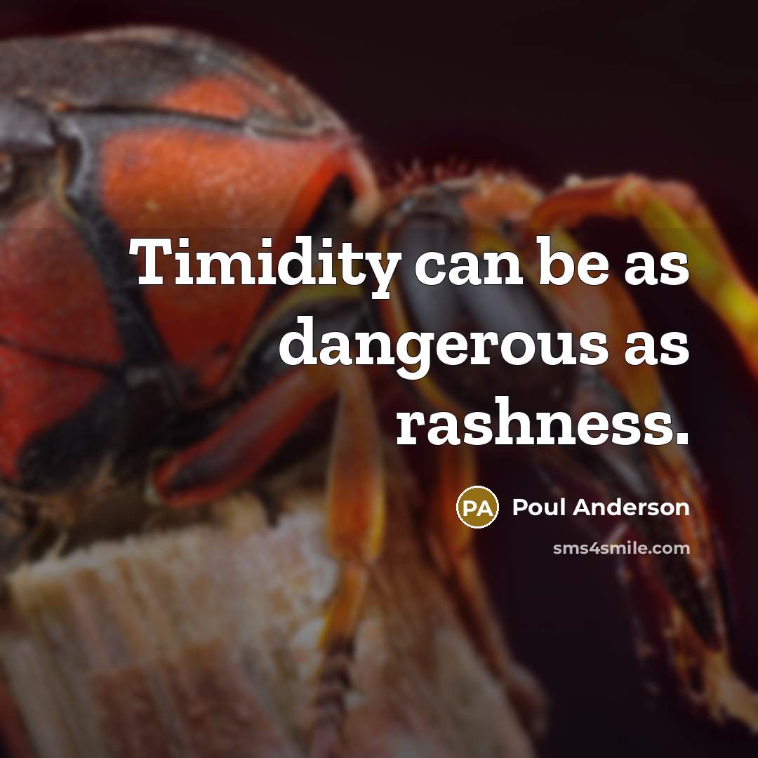 “Timidity can be as dangerous as rashness.…” quote by Poul Anderson