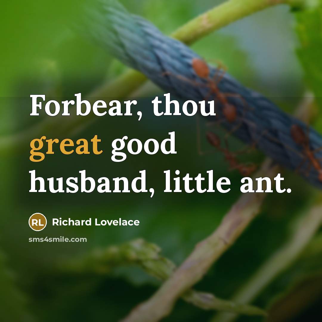 “Forbear, thou great good husband, little ant.…” quote by Richard Lovelace