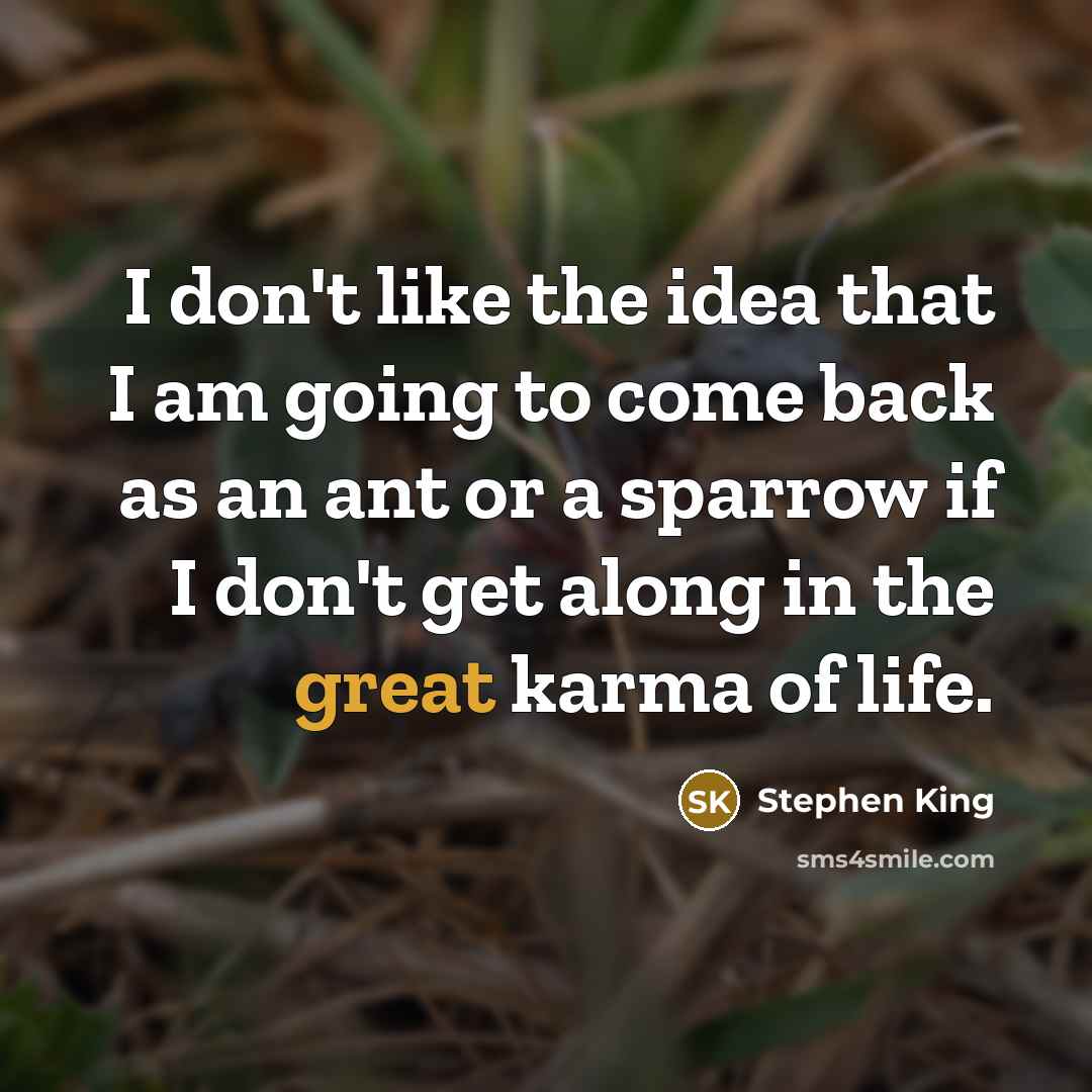 “I don't like the idea that I am going to…” quote by Stephen King