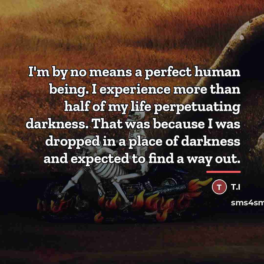 “I'm by no means a perfect human being. I experience…” quote by T.I