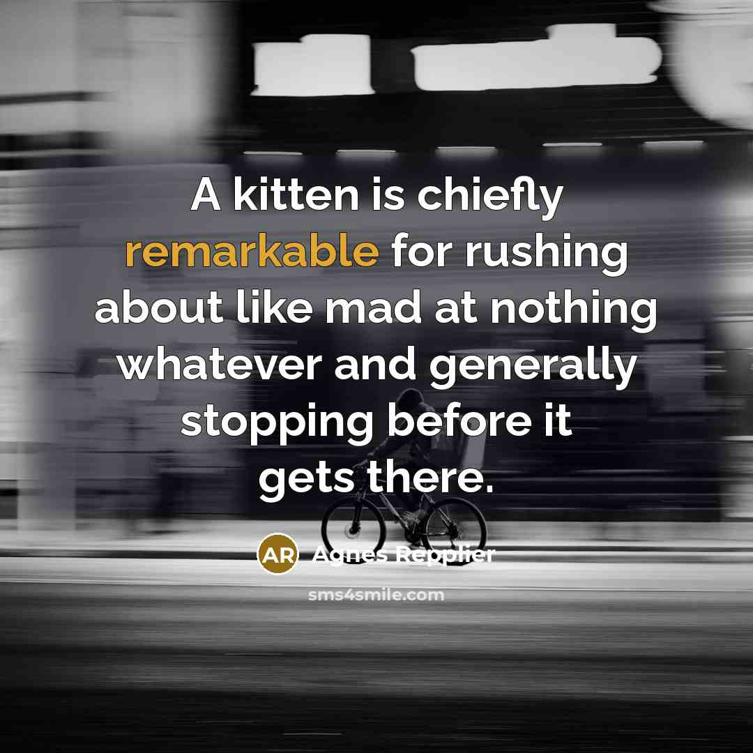 “A kitten is chiefly remarkable for rushing about like mad…” quote by Agnes Repplier