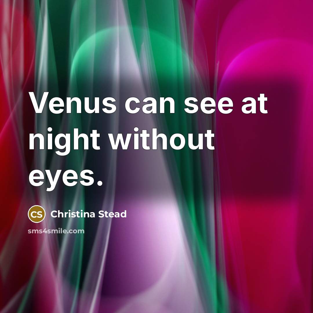 “Venus can see at night without eyes.…” quote by Christina Stead