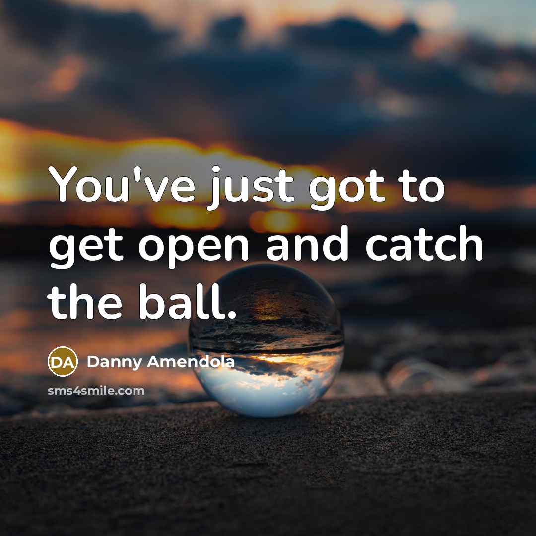 “You've just got to get open and catch the ball.…” quote by Danny Amendola