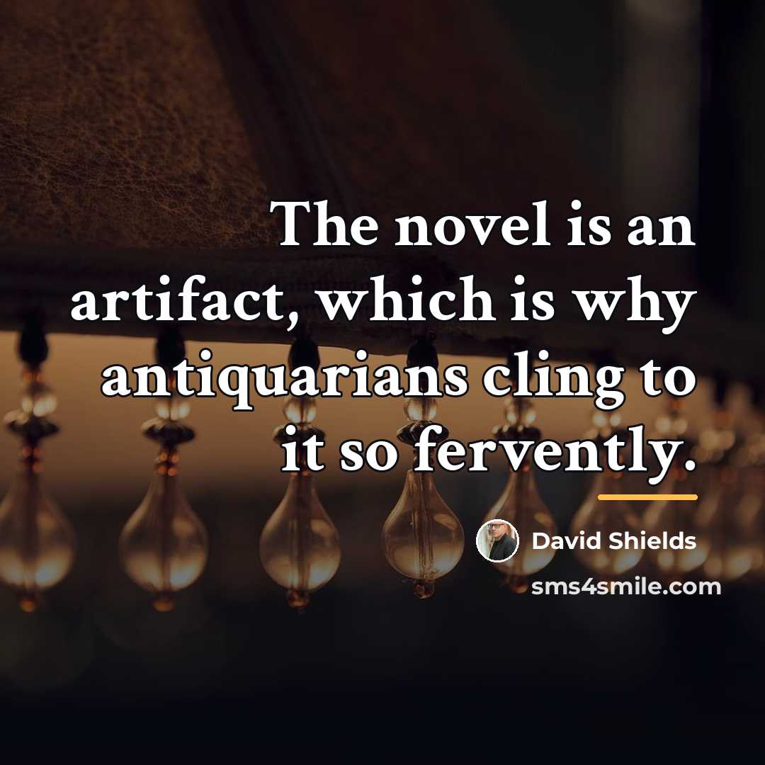 “The novel is an artifact, which is why antiquarians cling…” quote by David Shields