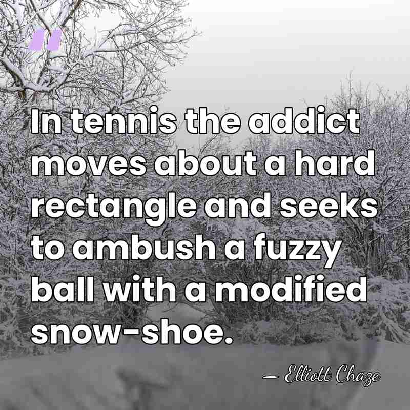 In tennis the addict moves about a hard rectangle and seeks to&hellip; - Elliott Chaze