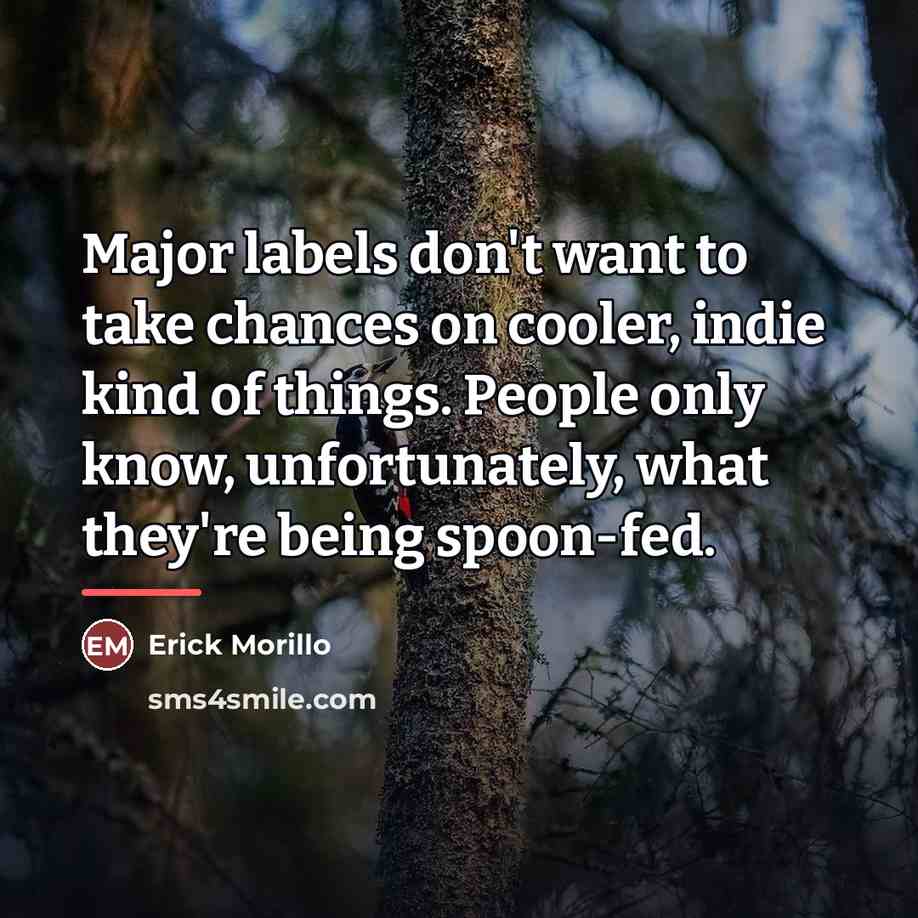 “Major labels don't want to take chances on cooler, indie…” quote by Erick Morillo
