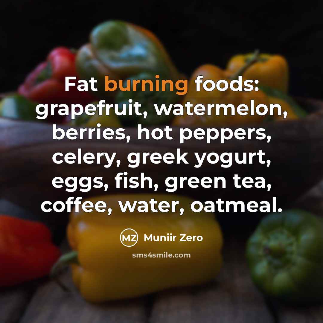 “Fat burning foods: grapefruit, watermelon, berries, hot peppers, celery, greek…” quote by Muniir Zero