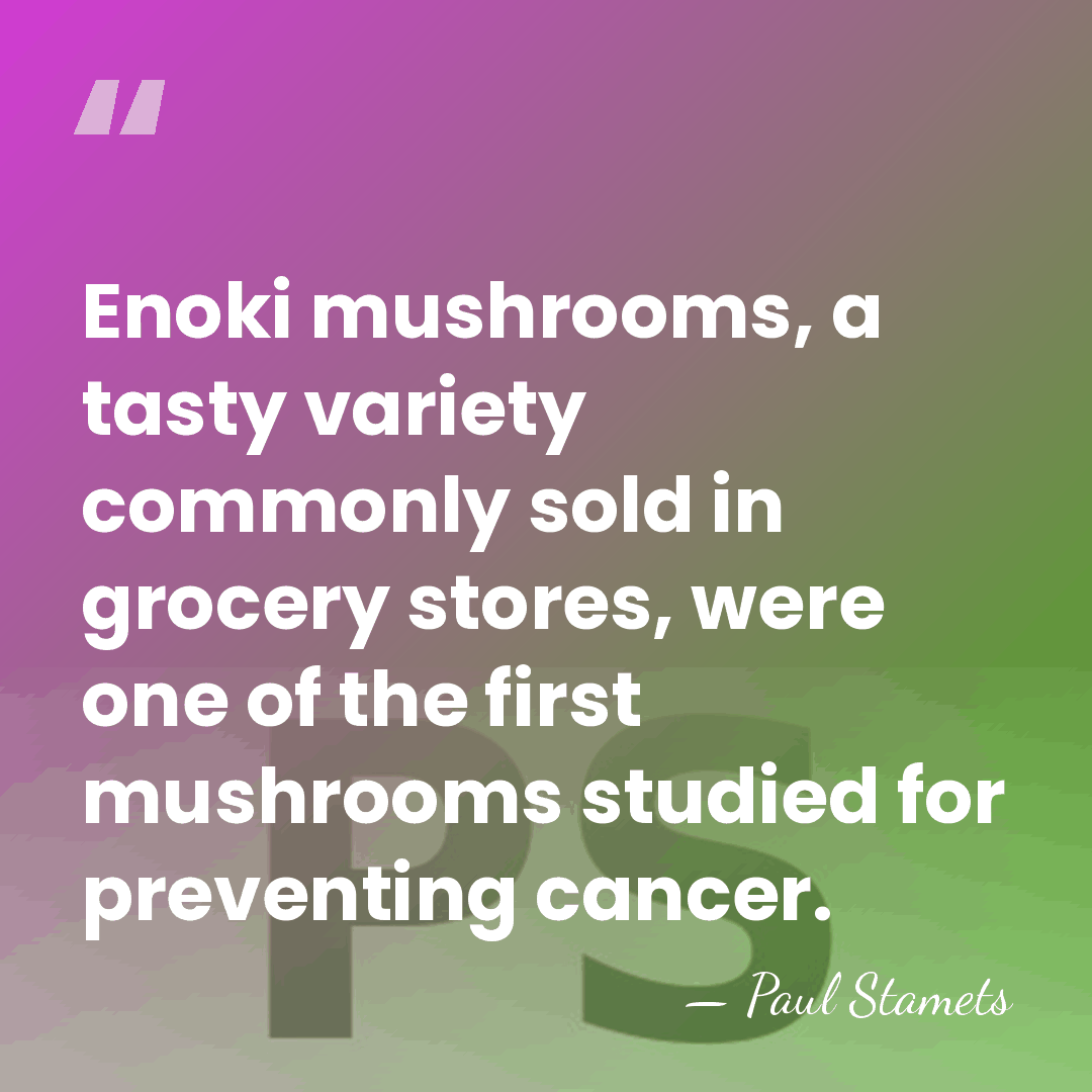 Enoki mushrooms, a tasty variety commonly sold in grocery stores, were one&hellip; - Paul Stamets