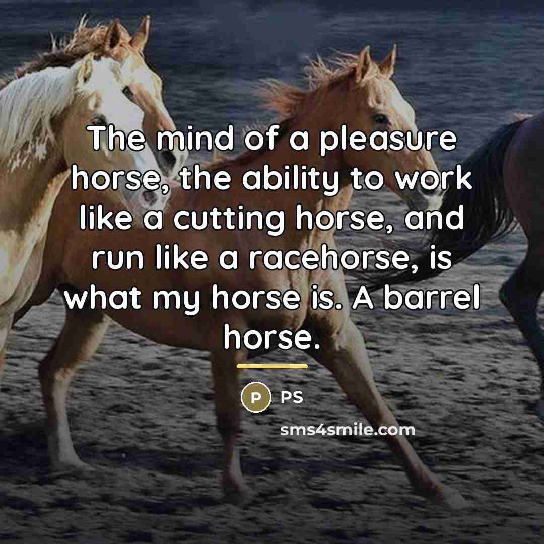 “The mind of a pleasure horse, the ability to work…” quote by Ps
