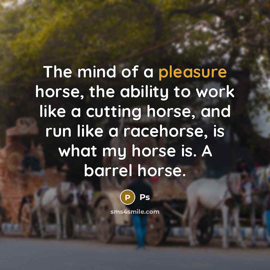 “The mind of a pleasure horse, the ability to work like a cutting horse, and run like a racehorse, is what my horse is. A barrel horse.” quote by Ps