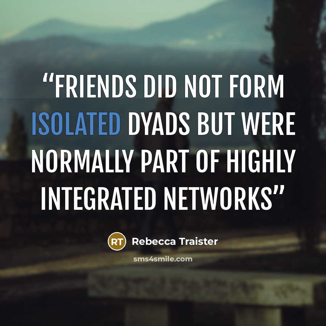 “Friends did not form isolated dyads but were normally part of highly integrated networks” quote by Rebecca Traister