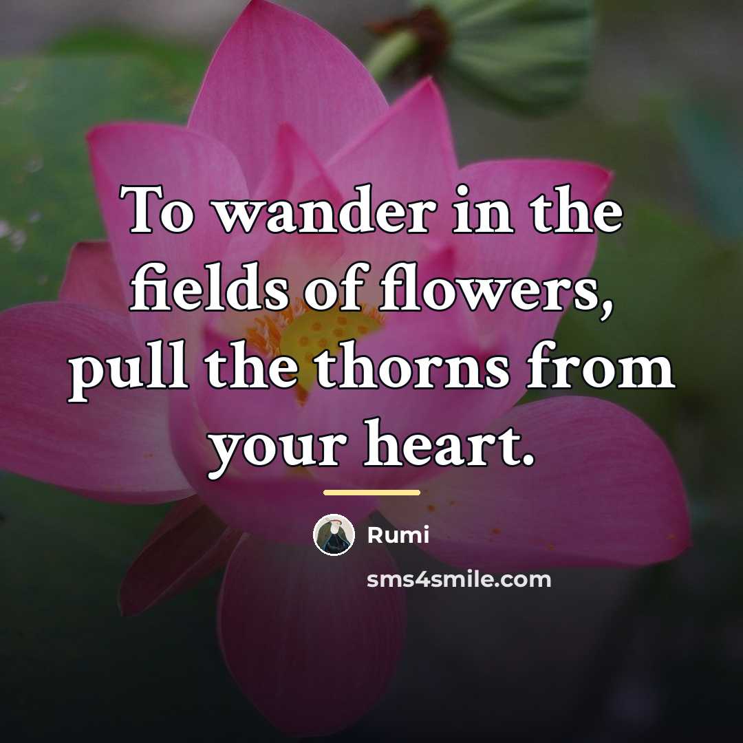 “To wander in the fields of flowers, pull the thorns…” quote by Rumi