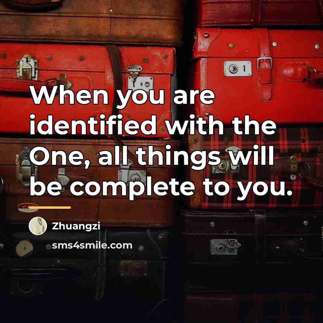 “When you are identified with the One, all things will…” quote by Zhuangzi