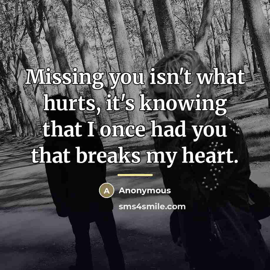 “Missing you isn't what hurts, it's knowing that I once…” quote by Anonymous