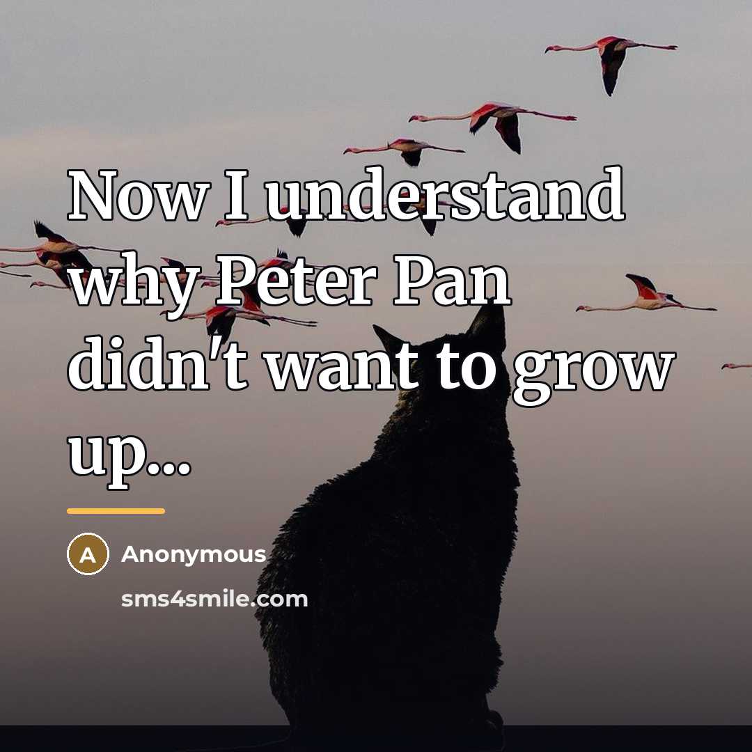 “Now I understand why Peter Pan didn't want to grow…” quote by Anonymous