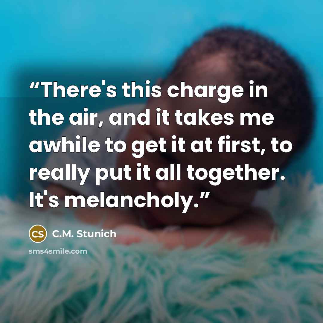 “There's this charge in the air, and it takes me awhile to get it at first, to really put it all together. It's melancholy.” quote by C.M. Stunich