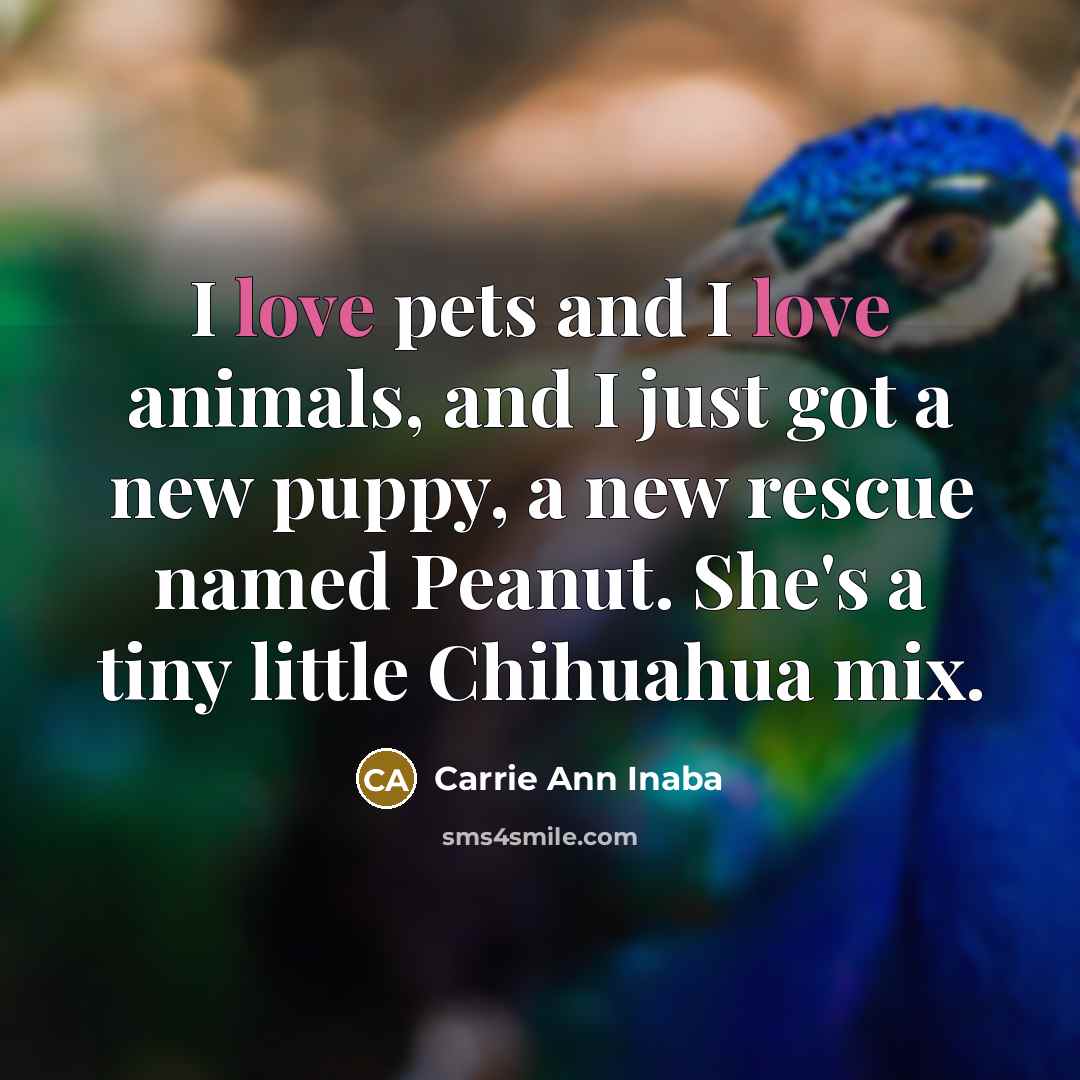 “I love pets and I love animals, and I just…” quote by Carrie Ann Inaba