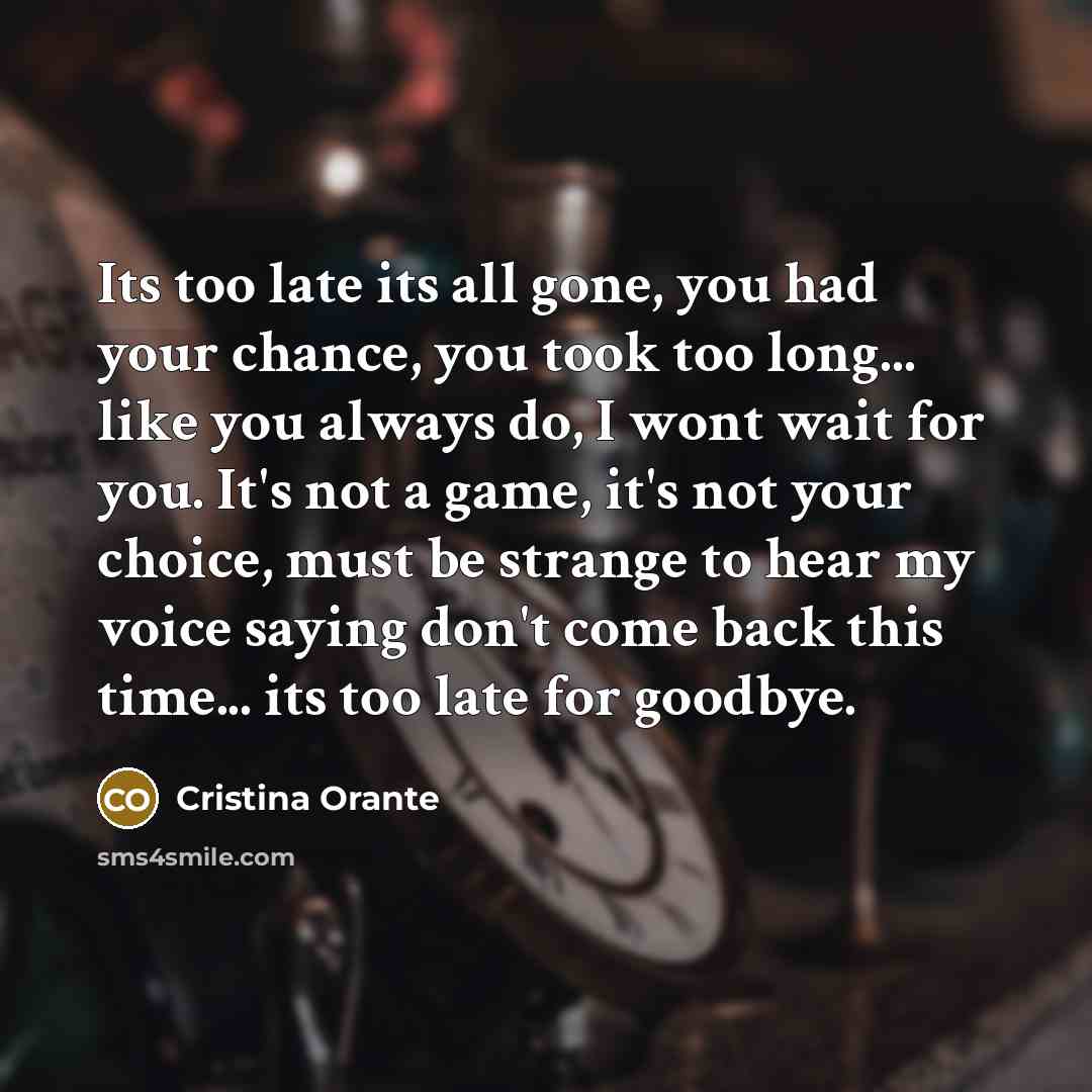 “Its too late its all gone, you had your chance,…” quote by Cristina Orante