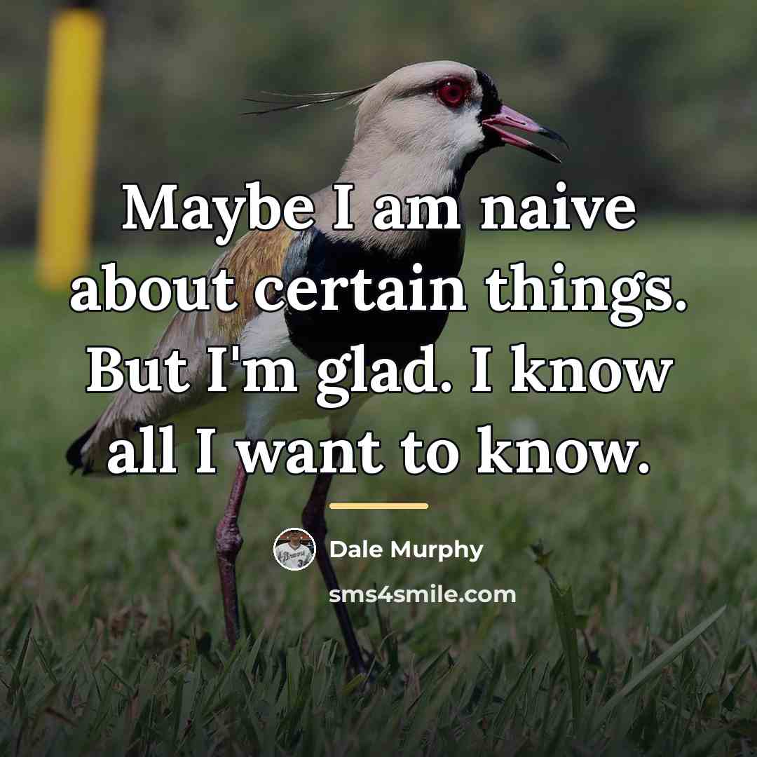 “Maybe I am naive about certain things. But I'm glad.…” quote by Dale Murphy