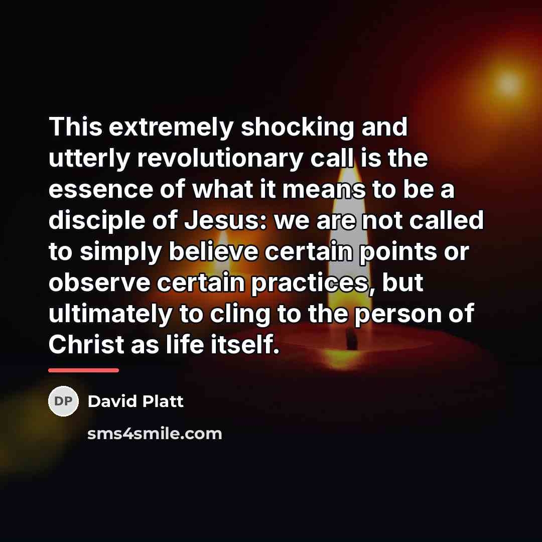 “This extremely shocking and utterly revolutionary call is the essence…” quote by David Platt