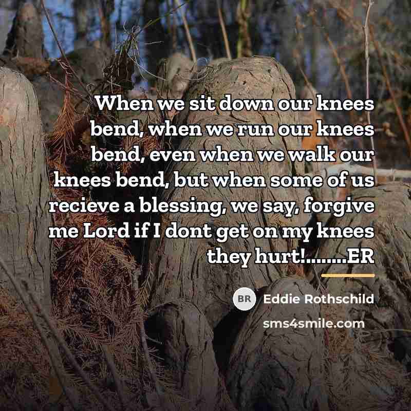 “When we sit down our knees bend, when we run…” quote by Eddie Rothschild