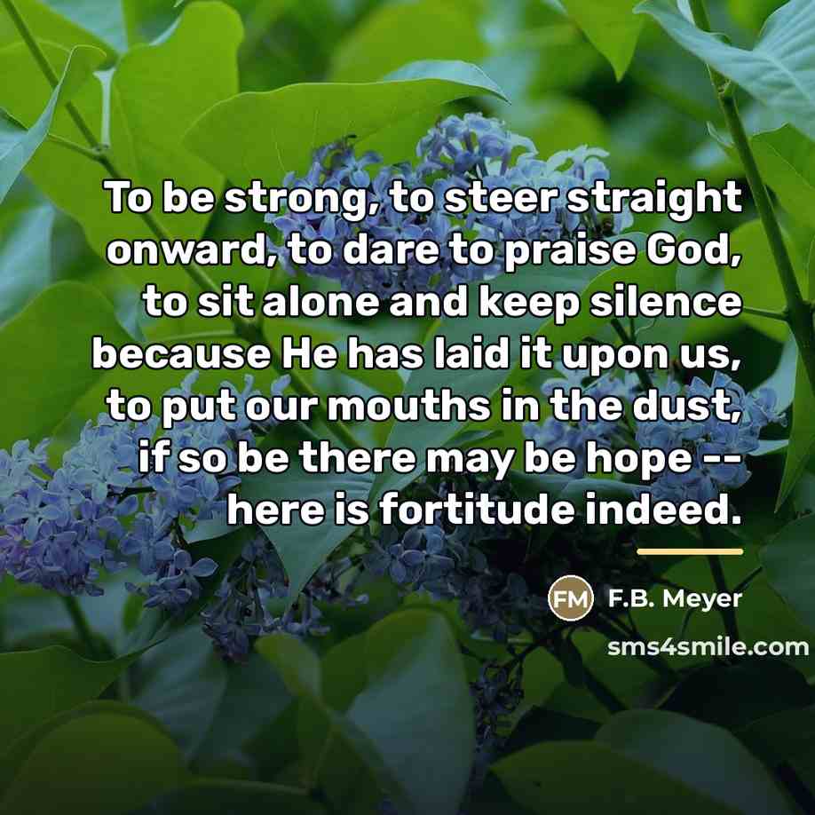 “To be strong, to steer straight onward, to dare to…” quote by F.B. Meyer