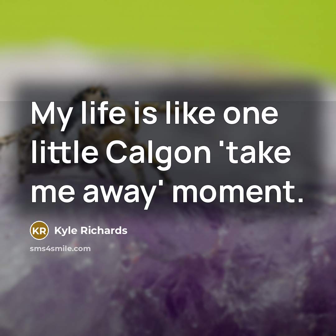 “My life is like one little Calgon 'take me away' moment.” quote by Kyle Richards
