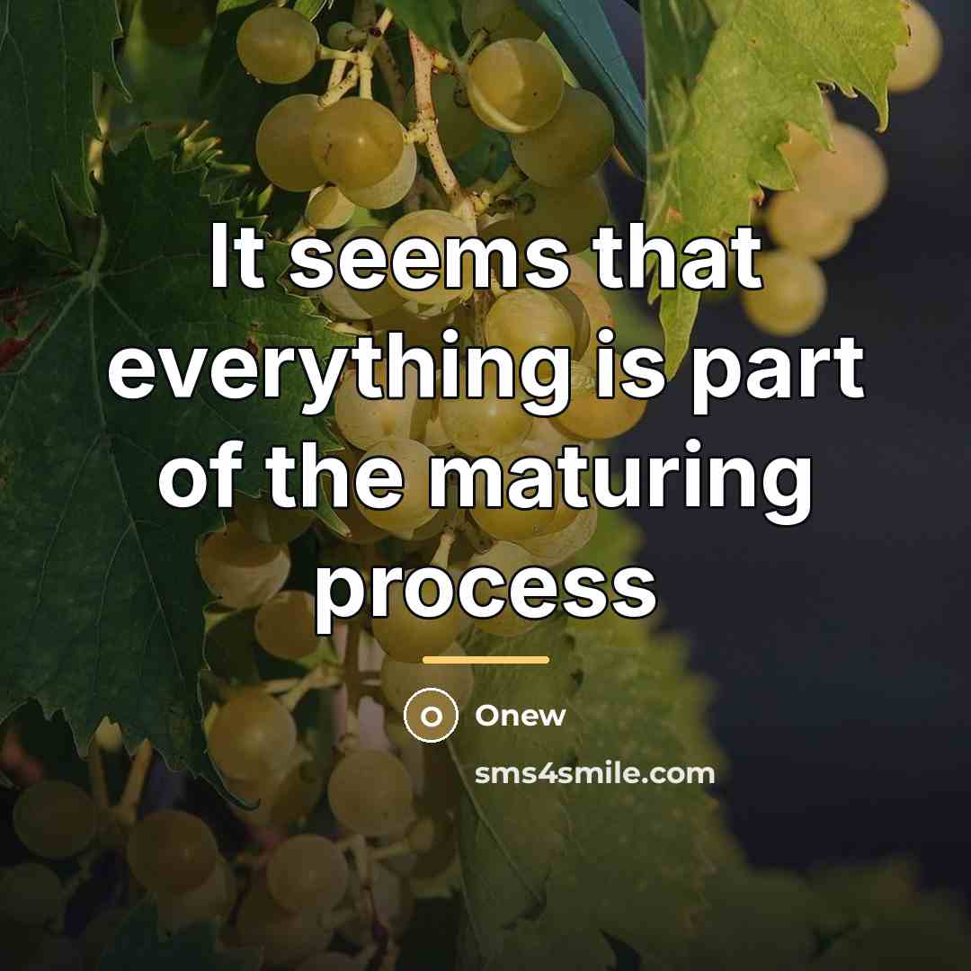 “It seems that everything is part of the maturing process…” quote by Onew